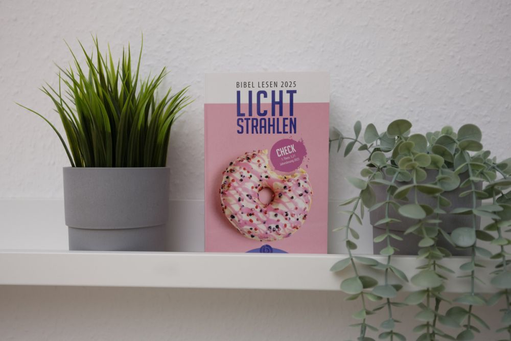 Lichtstrahlen 2025